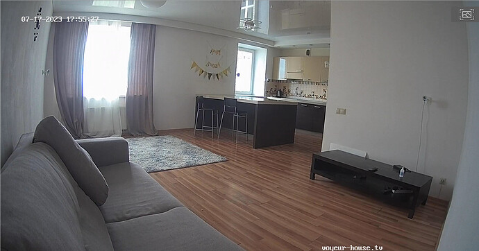 Screenshot 2023-07-17 at 07-55-54 Living room camera at Winter reallifecam apartment at Voyeur House TV (cam15)