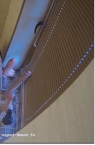 Screenshot 2024-06-16 at 00-43-12 Voyeur House TV 🔥 – # FREE Source for hidden real life cams