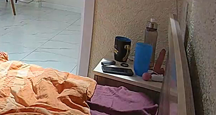 bandicam 2024-02-29 01-52-14-357