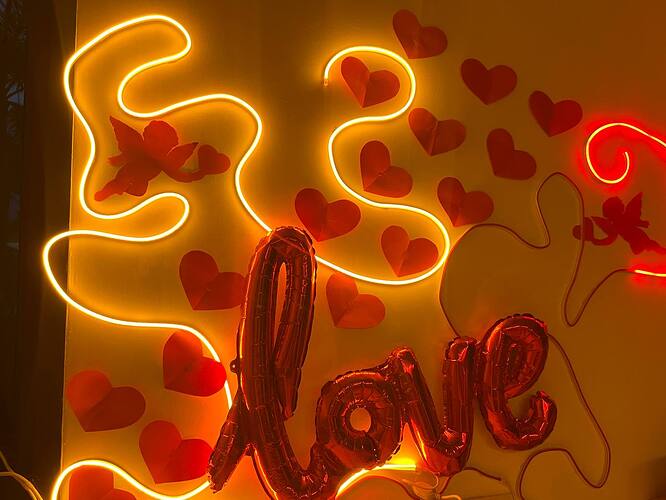 photo_2026-02-12_13-22-48