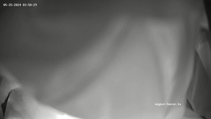 realm23-cam14-1716636797