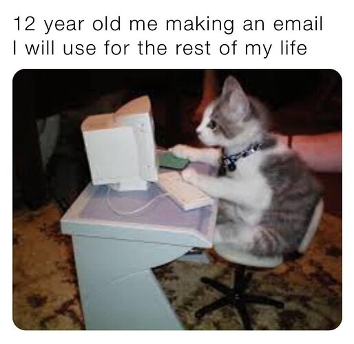 cat-12-year-old-making-an-email-will-use-rest-my-life