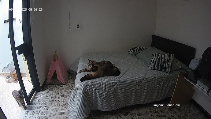 realm103-cam17-1759100385