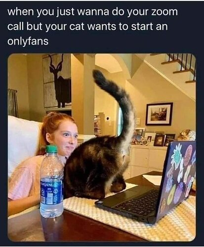 FvNVcn_XwAA4ZcD