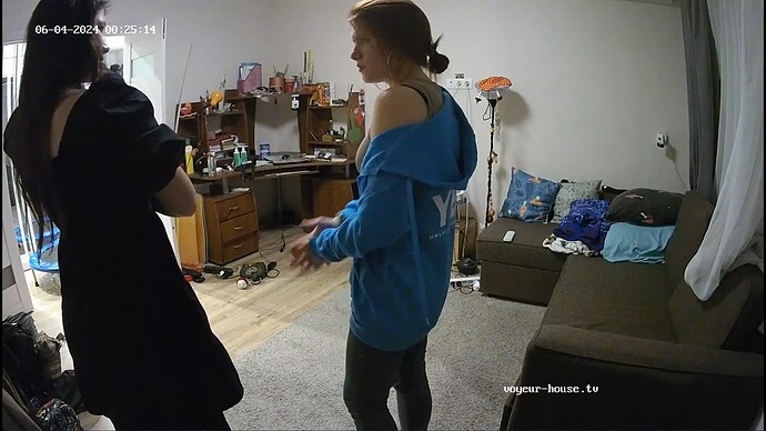 Ashampoo_Snap_lundi 3 juin 2024_23h25m37s_004_Living room camera at Camille reallifecam apartment at Voyeur House TV (cam15) - Google Chrome