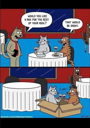 bandicam 2022-09-11 19-10-47-090