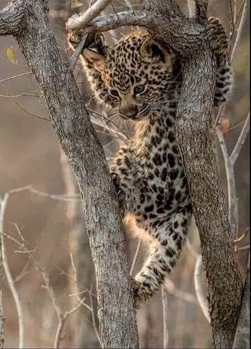 main-qimg-89f7596ad543250feb720df4edc146e5