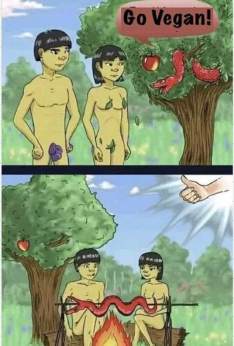 432465144_351125424597310_4483480705186164630_n