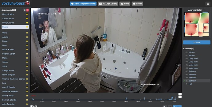 Screenshot 2025-10-18 at 22-18-39 Bathroom camera at Shana reallifecam apartment at Voyeur House TV (cam110)