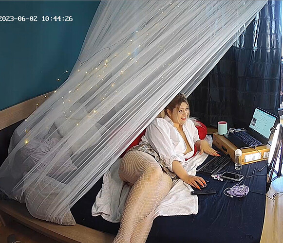 Screenshot 2023-06-02 at 03-45-02 Guest bedroom camera at Sophia Elon Claudia reallifecam apartment at Voyeur House TV (cam110)