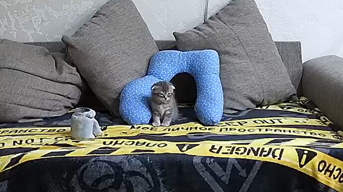 Noldus 2026-03-26 20-40-03-410