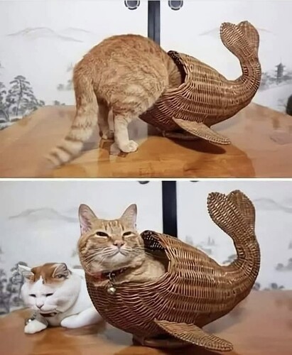 main-qimg-902cb93f01c1b23c9c0c3b69e24aa035