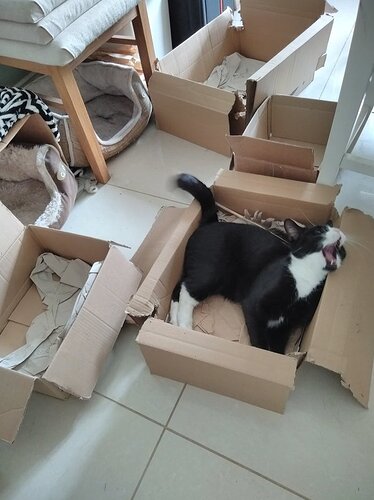 main-qimg-cb84d4067f067d04b70264e550666e25-lq