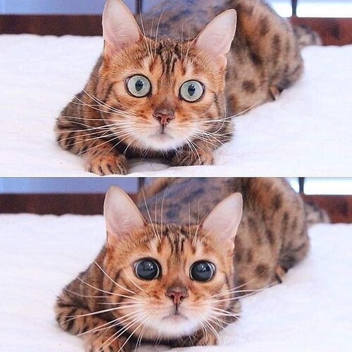 main-qimg-0e3e13130ae5566884258b30ed76154d