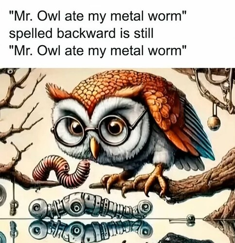 Mr. Owl