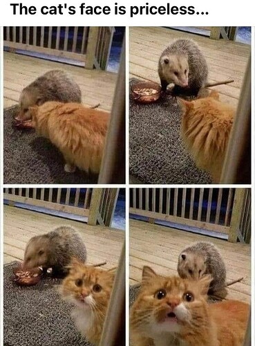 main-qimg-ba255d385b36c5c882a25e2c5071c487