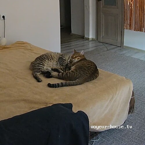 realm93-cam13-1717283987