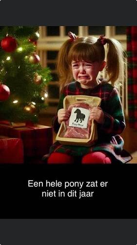 413894952_3731275247102275_2363851245121853105_n