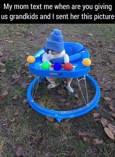 main-qimg-1b2a79d9e954fa309ae5c39c68f6e366