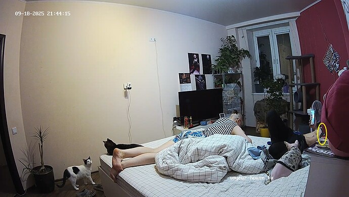 realm60-cam17-1758221121