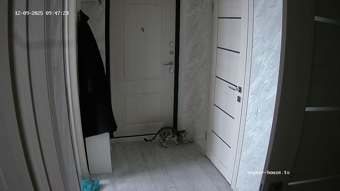 realm13-cam110-1765299319