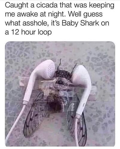 433852754_8219929068036671_6890130956904021833_n