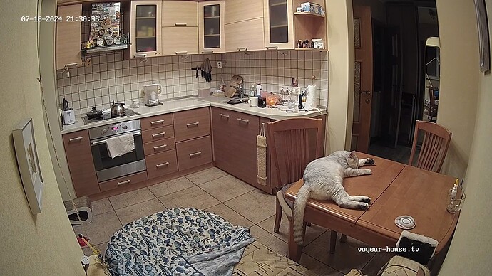 realm34-cam111-1721333340