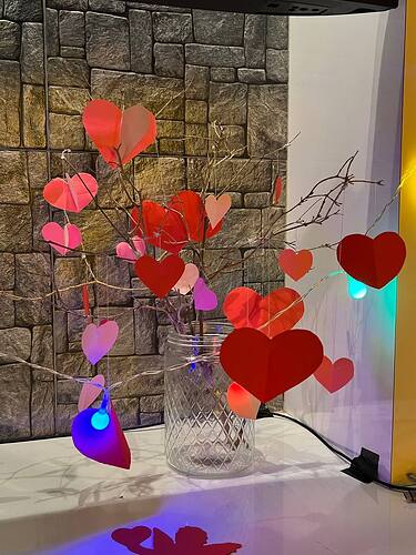 photo_2026-02-12_14-02-32