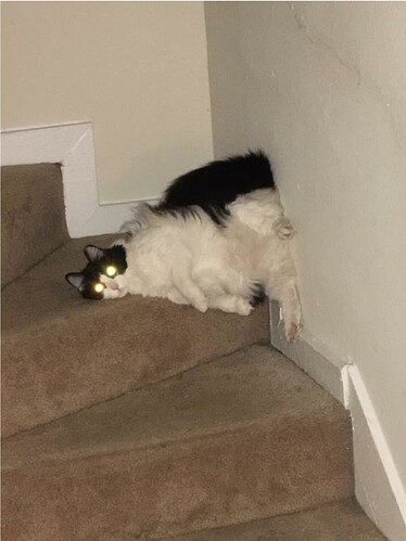 main-qimg-ad80e27e5283767c97d0a74b10e8233a