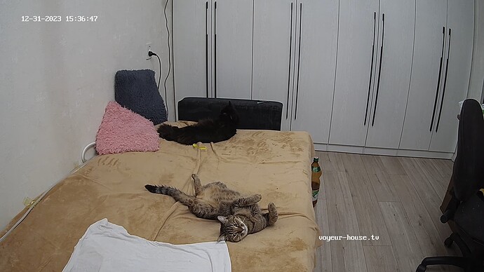 realm65-cam13-1704022676