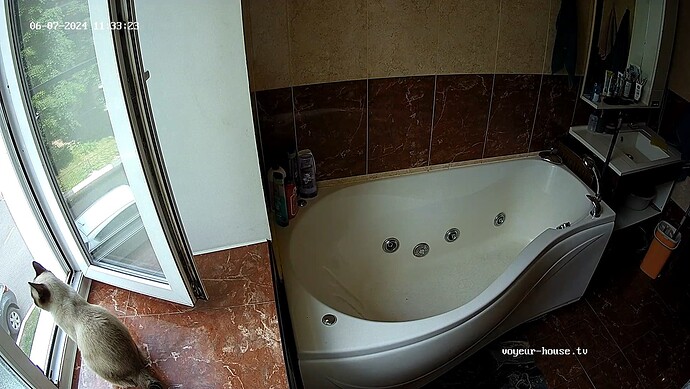 realm18-cam111-1717749231