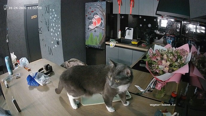 realm108-cam12-1769259680