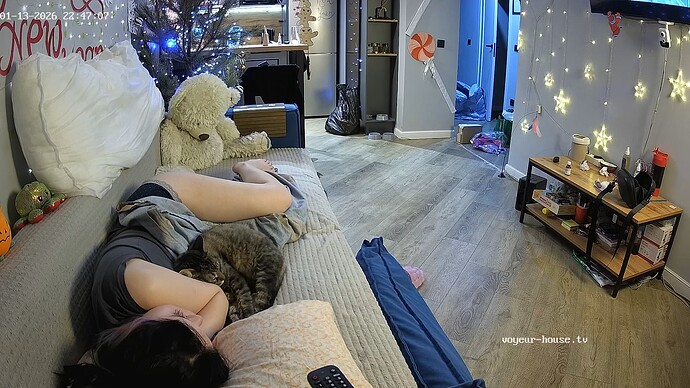 realm94-cam14-1768333673