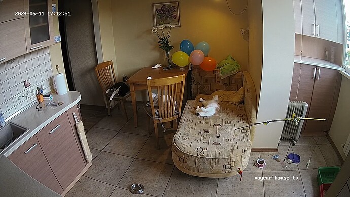 realm34-cam12-1718115328