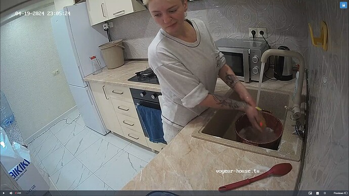 Ashampoo_Snap_vendredi 19 avril 2024_21h6m6s_004_Kitchen camera at Gabi reallifecam apartment at Voyeur House TV (cam11) - Google Chrome