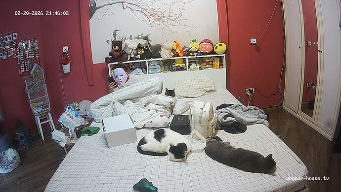 realm60-cam16-1771613200