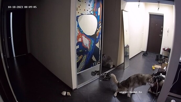 realm18-cam113-1697577990