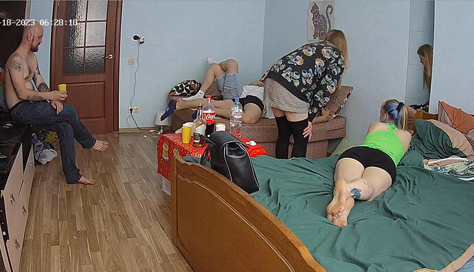 Screenshot 2023-06-18 at 10-10-01 Guest bedroom camera at Sophia Elon Claudia reallifecam apartment at Voyeur House TV (cam110)
