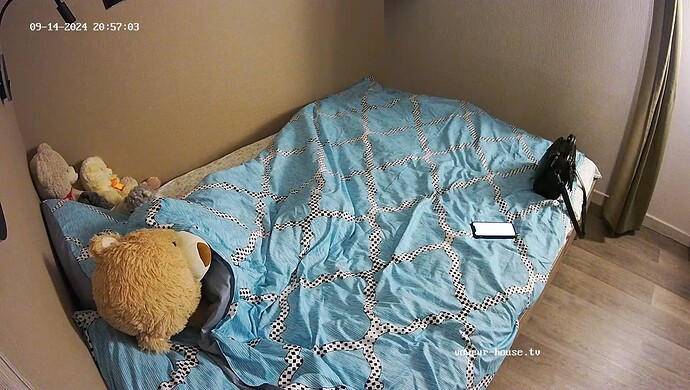 realm79-cam14-1726337890