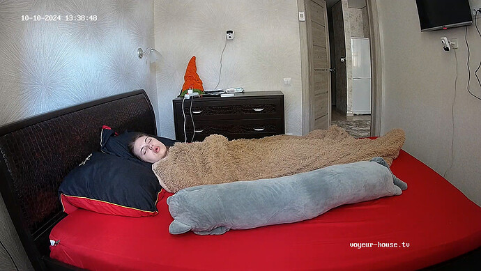 realm53-cam110-1728556765