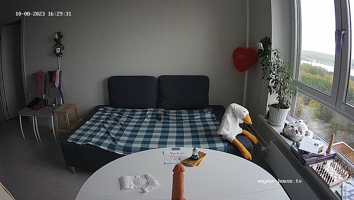 realm80-cam14-1696771807