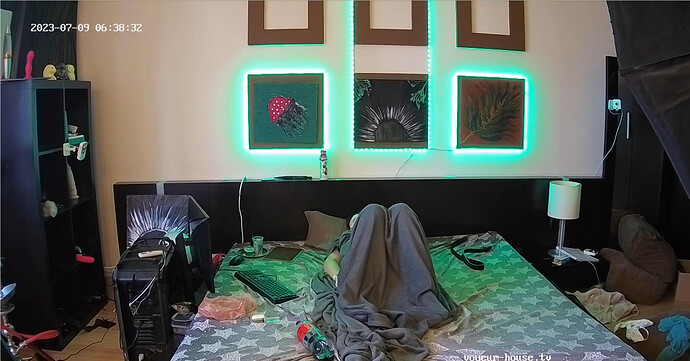 Screenshot 2023-07-08 at 23-38-55 Loggia camera at Alida Gerda reallifecam apartment at Voyeur House TV (cam112)