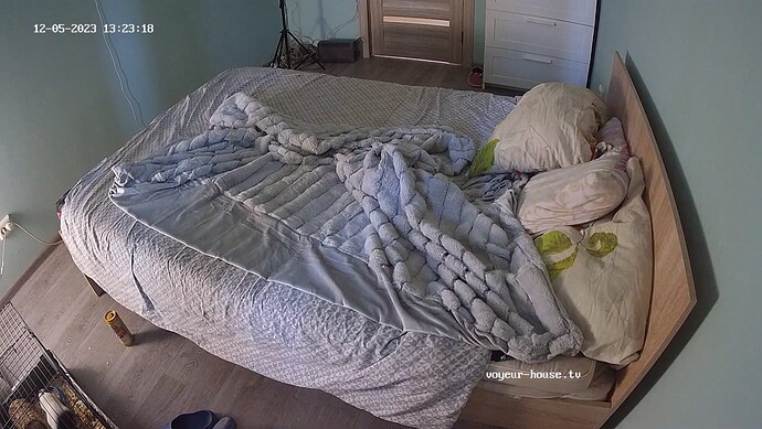 realm62-cam16-1701823313