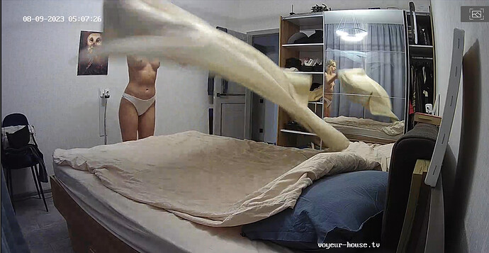 Screenshot 2023-08-08 at 22-36-14 Living room camera at Alida Gerda reallifecam apartment at Voyeur House TV (cam14)