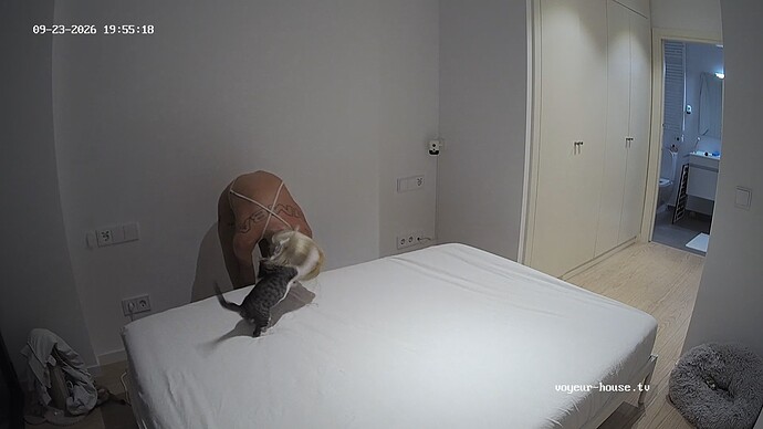 realm168-cam113-1790186166