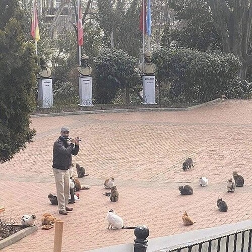 Only the best guests were invited to this concert