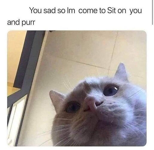 main-qimg-b8bb4c2950119179166d6cac3ca8ffa8