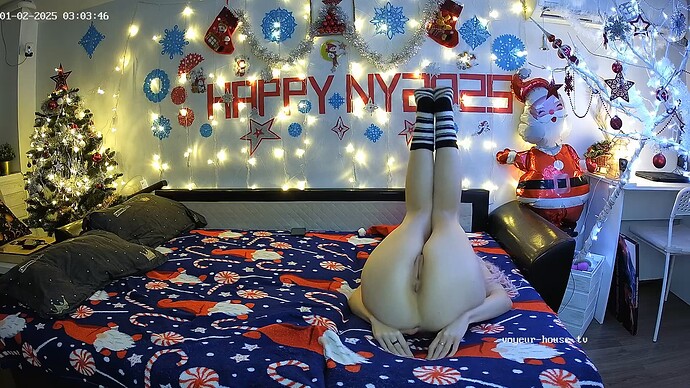 realm66-cam14-1735777478