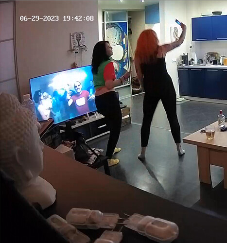 Screenshot 2023-06-29 at 12-59-42 Living room camera at Henry reallifecam apartment at Voyeur House TV (cam13)