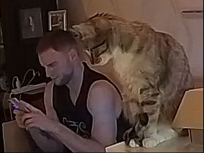 Levante_251130_Sativa_kitchen_@_Shana_realm64_01